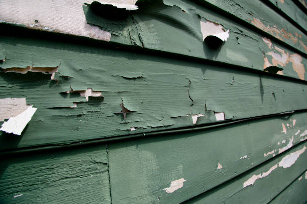 Best Residential Vinyl Siding Installation  in Herricks, NY